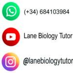 Lane´s Free GCSE Biology Worksheets - Lane Biology Tutor